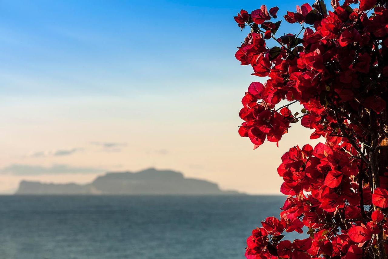 La Villa Resort & Spa Sant'Angelo  Εξωτερικό φωτογραφία
